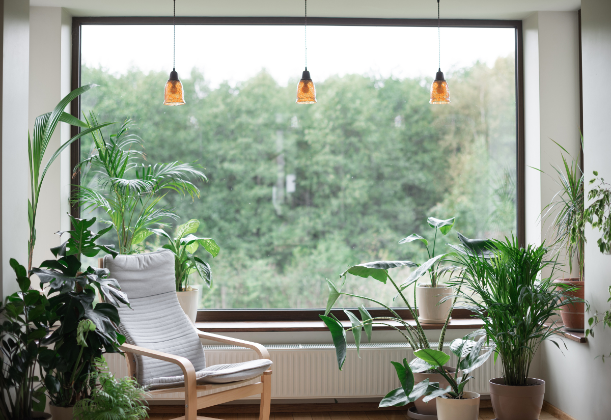 Rastliny, ktoré vám zlepšia kvalitu vzduchu vo vašej domácnosti